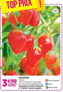 Delbard Fraisier offre