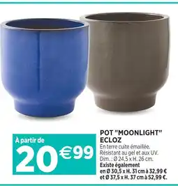 Delbard Ecloz pot 'moonlight' ecloz offre