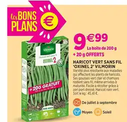Delbard Vilmorin haricot vert sans fil ‘oxinel 2’ vilmorin offre