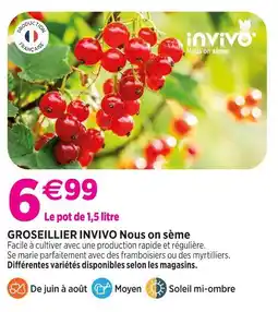 Delbard Invivo nous on sème groseillier invivo nous on sème offre