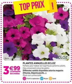 Delbard Ecloz plantes annuelles ecloz offre