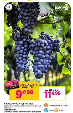Delbard Invivo nous on sème vigne invivo nous on sème offre
