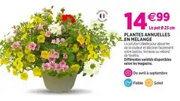 Delbard Plantes annuelles en mélange offre