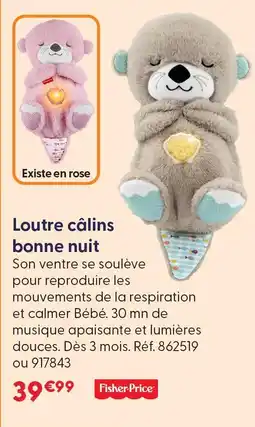La Grande Récré Fisher -price loutre câlins bonne nuit offre