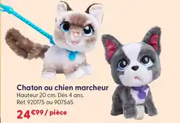 La Grande Récré Chaton marcheur offre