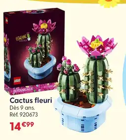 La Grande Récré Lego cactus fleuri offre