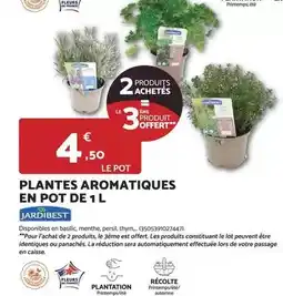 Bricomarché Persil - plantes aromatiques en pot de 1 l offre