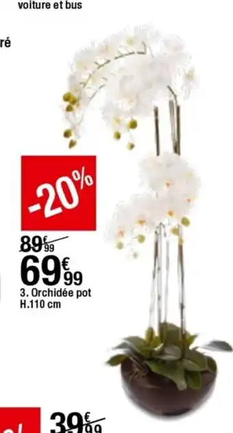 BUT Orchidée pot offre
