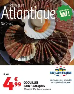 Auchan Coquilles saint-jacques offre