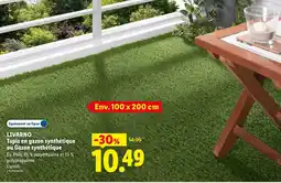 Lidl LIVARNO Tapis en gazon synthétique ou Gazon synthétique offre