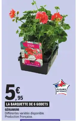E.Leclerc Fleurs de france géranium offre