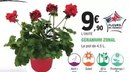 E.Leclerc Jardi Avril - géranium zonal offre