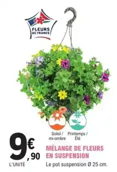E.Leclerc Jardi Mélange de fleurs en suspension offre