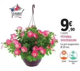 E.Leclerc Jardi Petunia suspension offre