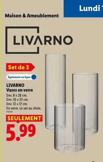 Lidl LIVARNO Vases en verre offre