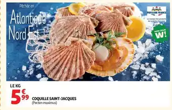 Auchan COQUILLE SAINT JACQUES offre