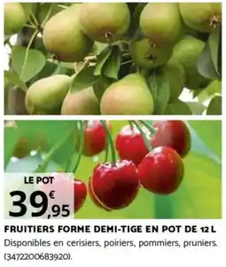 Bricomarché FRUITIERS FORME DEMI-TIGE EN POT DE 12 L offre