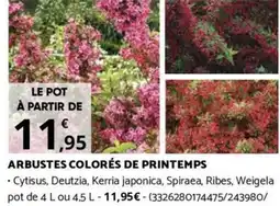 Bricomarché ARBUSTES COLORÉS DE PRINTEMPS offre