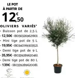 Bricomarché OLIVIERS VARIÉS offre