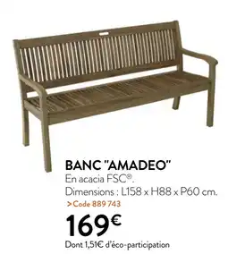 RAGT Jardin & Maison BANC AMADEO offre