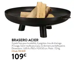 RAGT Jardin & Maison BRASERO ACIER offre