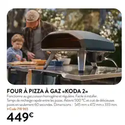 RAGT Jardin & Maison FOUR À PIZZA À GAZ KODA 2 offre