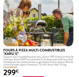 RAGT Jardin & Maison FOURS À PIZZA MULTI-COMBUSTIBLES KARU 12 offre