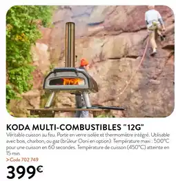 RAGT Jardin & Maison KODA MULTI-COMBUSTIBLES offre