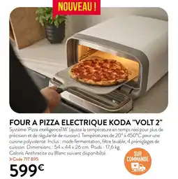 RAGT Jardin & Maison FOUR A PIZZA ELECTRIQUE KODA VOLT 2 offre