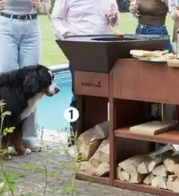 Espace emeraude Brasero Nestor original Corten offre