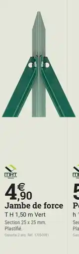 Espace emeraude Jambe de force offre