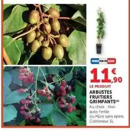 Hyper U ARBUSTES FRUITIERS GRIMPANTS offre