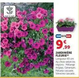 Hyper U JARDINIÈRE FLEURIE offre