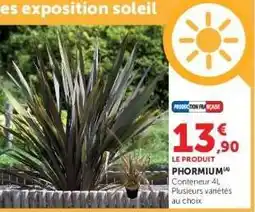 Super U PHORMIUM offre