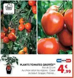 Hyper U PLANTS TOMATES GREFFÉS offre