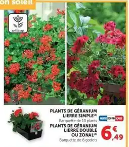 Super U PLANTS DE GÉRANIUM LIERRE SIMPLE / PLANTS DE GÉRANIUM LIERRE DOUBLE OU ZONAL offre