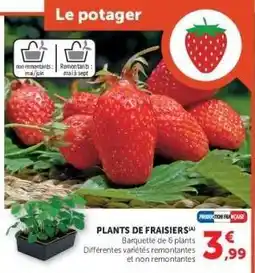 Hyper U PLANTS DE FRAISIERS offre