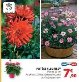 Super U POTÉES FLEURIES offre