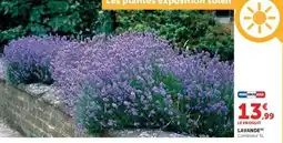 Hyper U Lavande offre