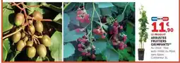 Super U ARBUSTES FRUITIERS GRIMPANTS offre