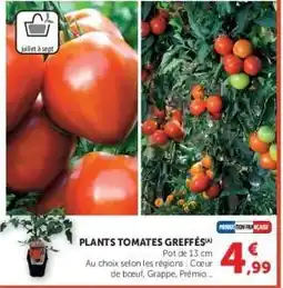 Super U PLANTS TOMATES GREFFÉS offre