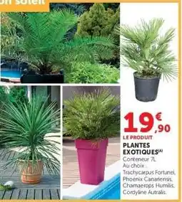 Super U PLANTES EXOTIQUES offre