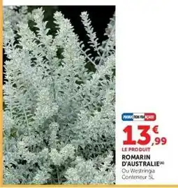 Hyper U Romarin d'Australie offre