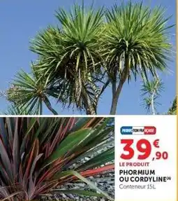 Hyper U Phormium ou Cordyline offre