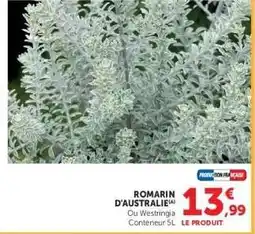 Super U Romarin d'Australie offre