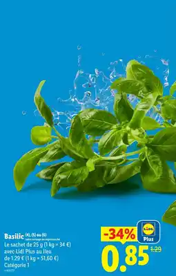 Lidl Basilic offre