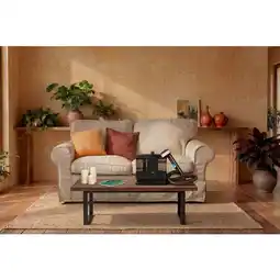 Carrefour Market Carrefour home nettoyeur textile offre