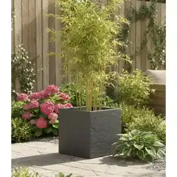 Carrefour Eda pot carré volcania up offre