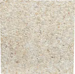 Carrefour Dalle gravillonnée offre