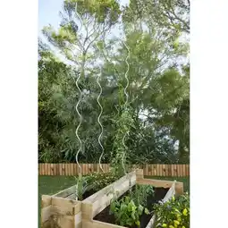 Carrefour Gardelys tuteur spirale pour tomates offre